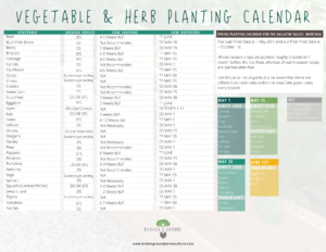 vegetable seed planting schedules