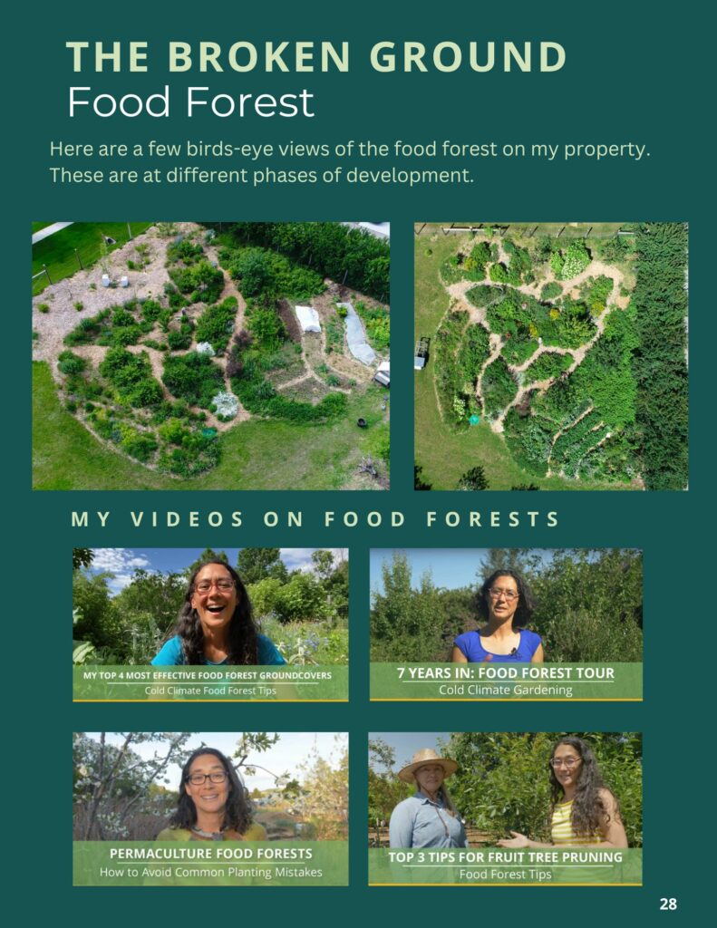 broken ground food forest